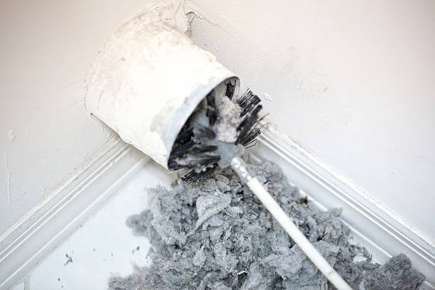 Best Air Duct Mold Removal  in Slippery Rock, PA